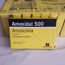 Amoxidal 500